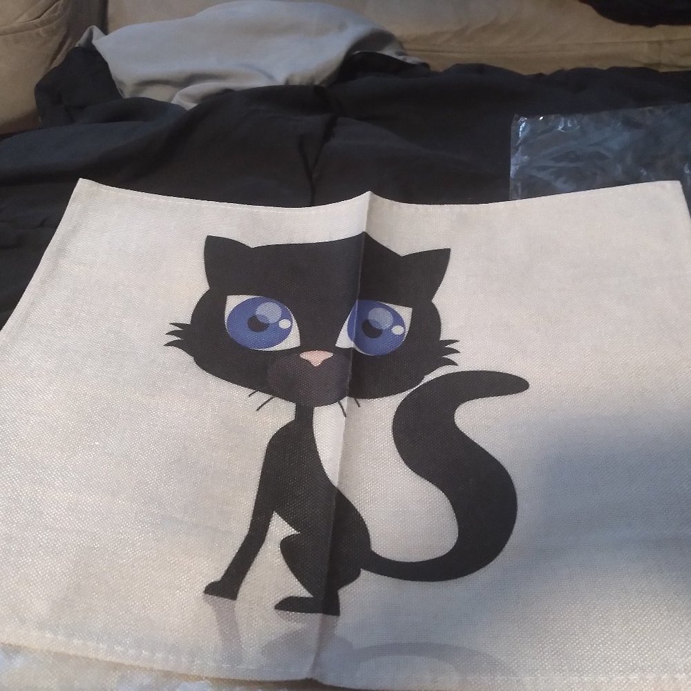 New set of 2 cute black cat placemats.